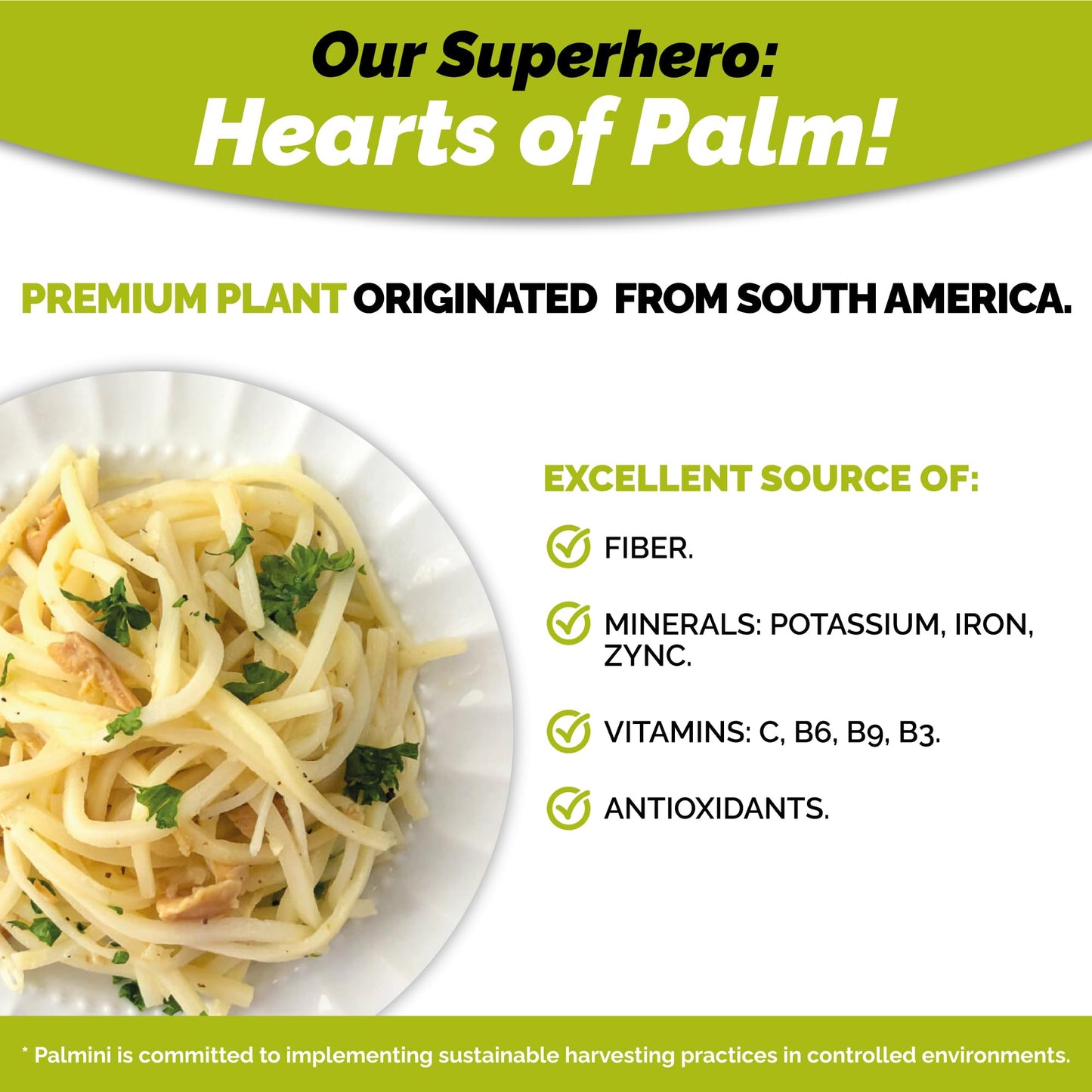 Palmini Linguine Pasta | Low-Carb Pasta, Low-Calorie Hearts of Palm Pasta | Keto Pasta, Gluten Free, Vegan, Non-GMO, Plant Based Pasta, Healthy Noodles | Seen on Shark Tank |(12 Ounce - Pack of 1)